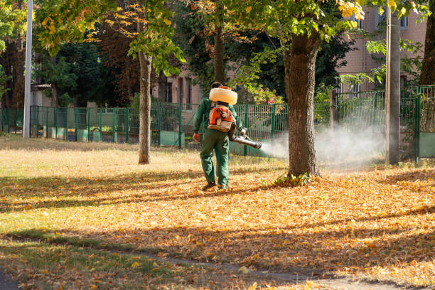 Best Emergency Pest Control  in Pearl, MS