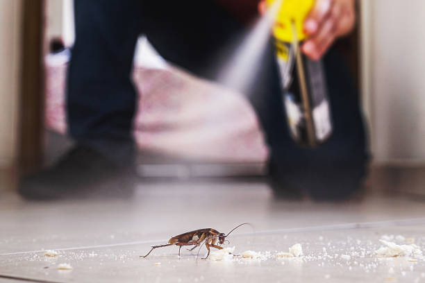 Pest Control for Restaurants in Pearl, MS