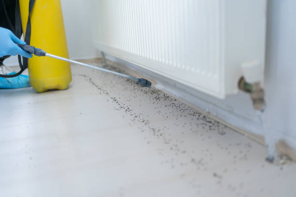 Professional Pest Control in Pearl, MS