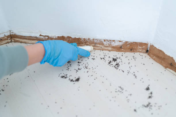 Best Residential Pest Control  in Pearl, MS